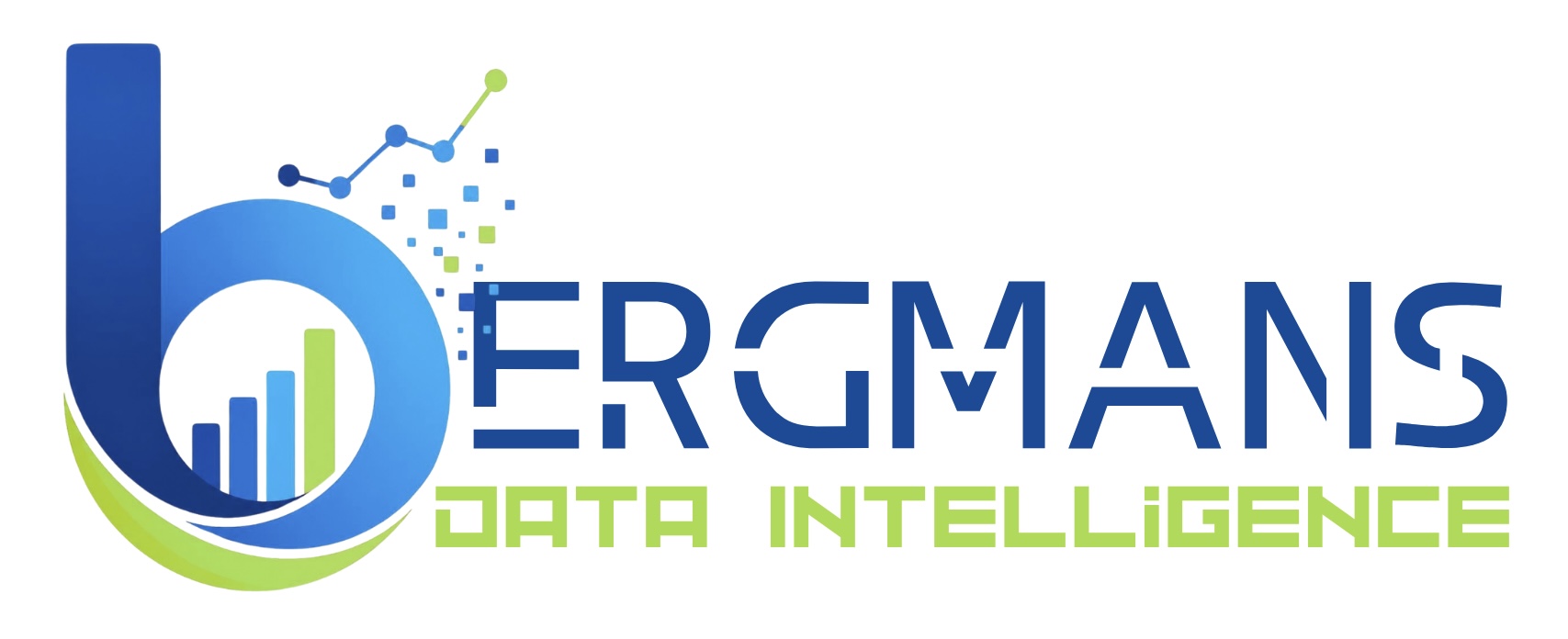 Bergmans Data Intelligence